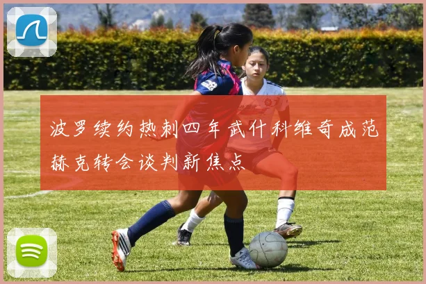 波罗续约热刺四年武什科维奇成范赫克转会谈判新焦点
